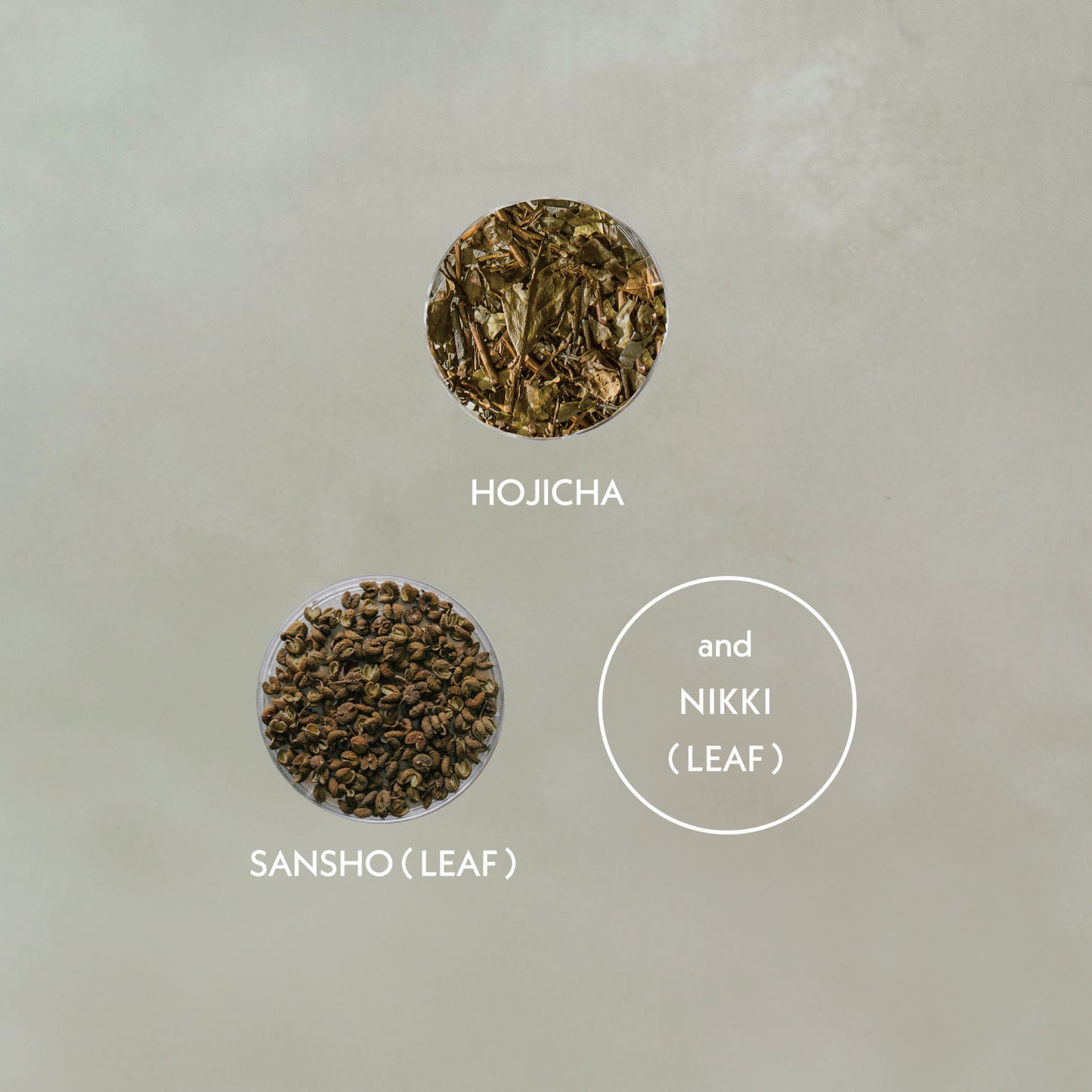 SANSHO NIKKI HOJICHA