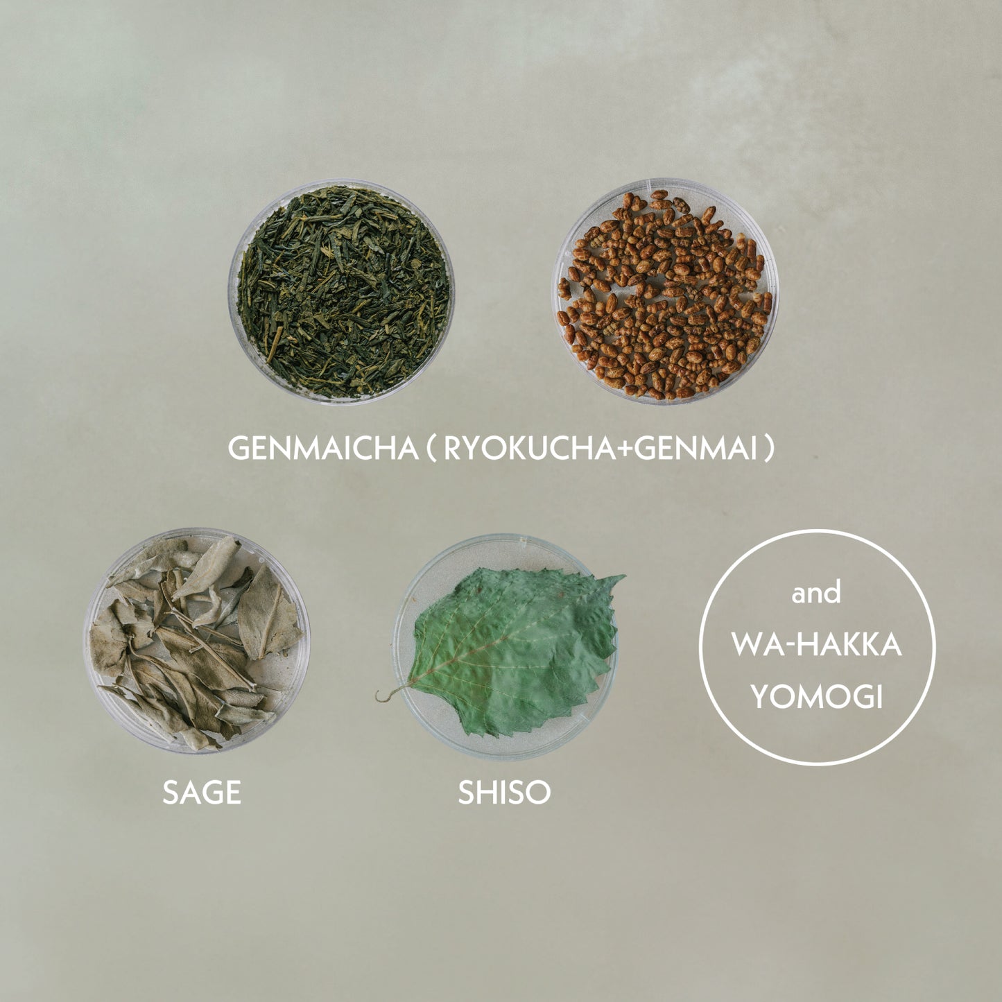 SAGE HAKKA GENMAICHA