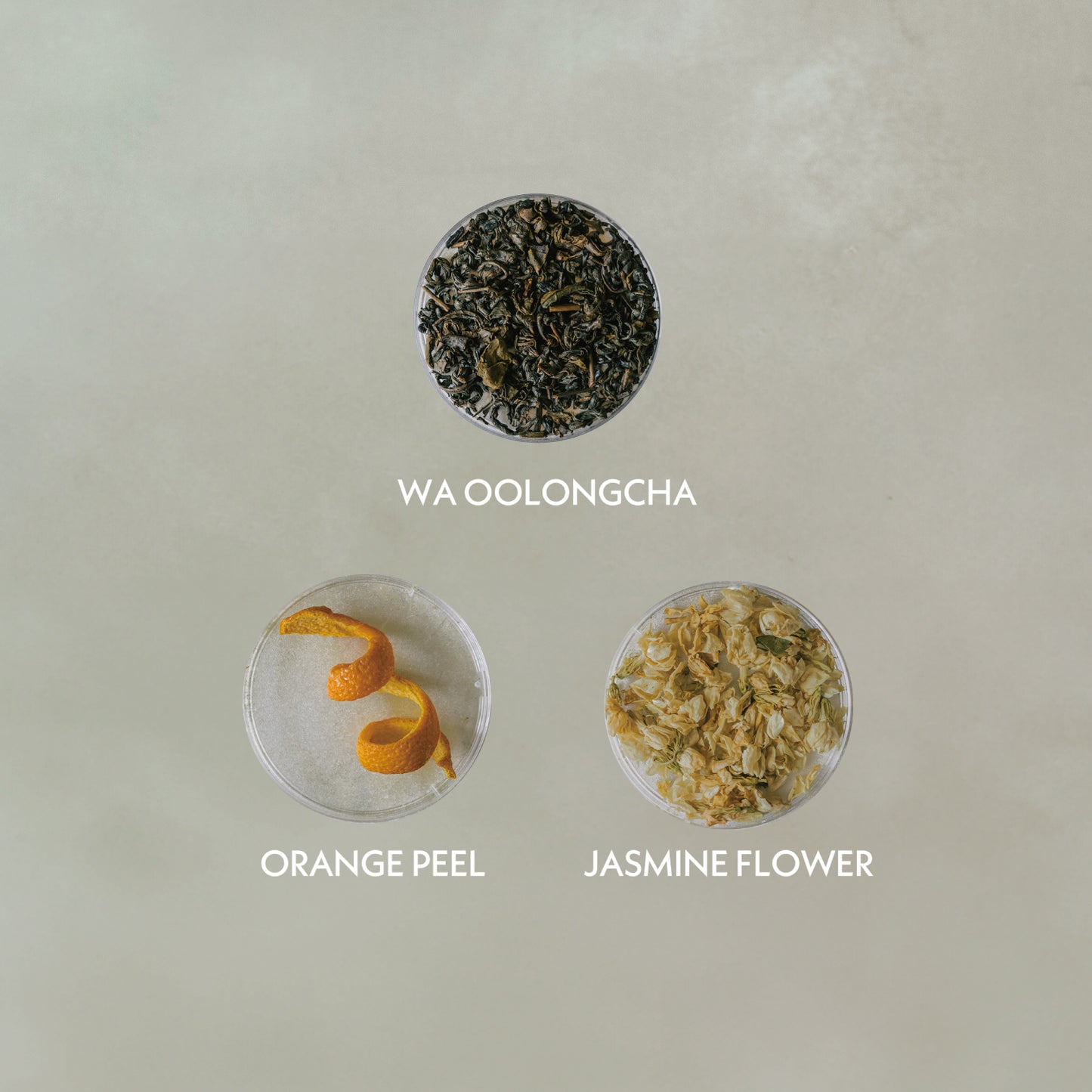 JASMINE ORANGE WA OOLONGCHA